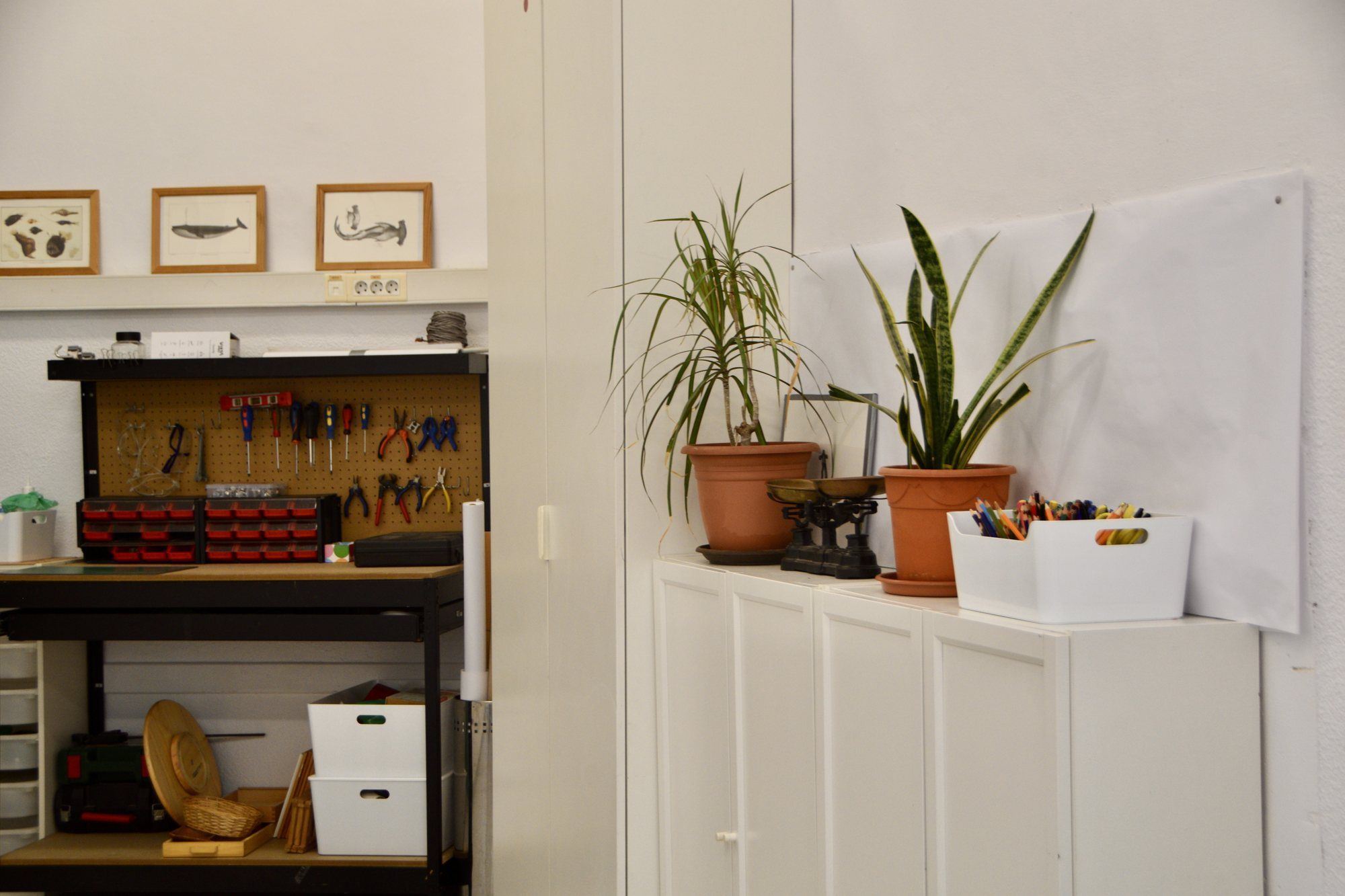 Woodwork corner in the primary room: tool board, plants and a set of scales