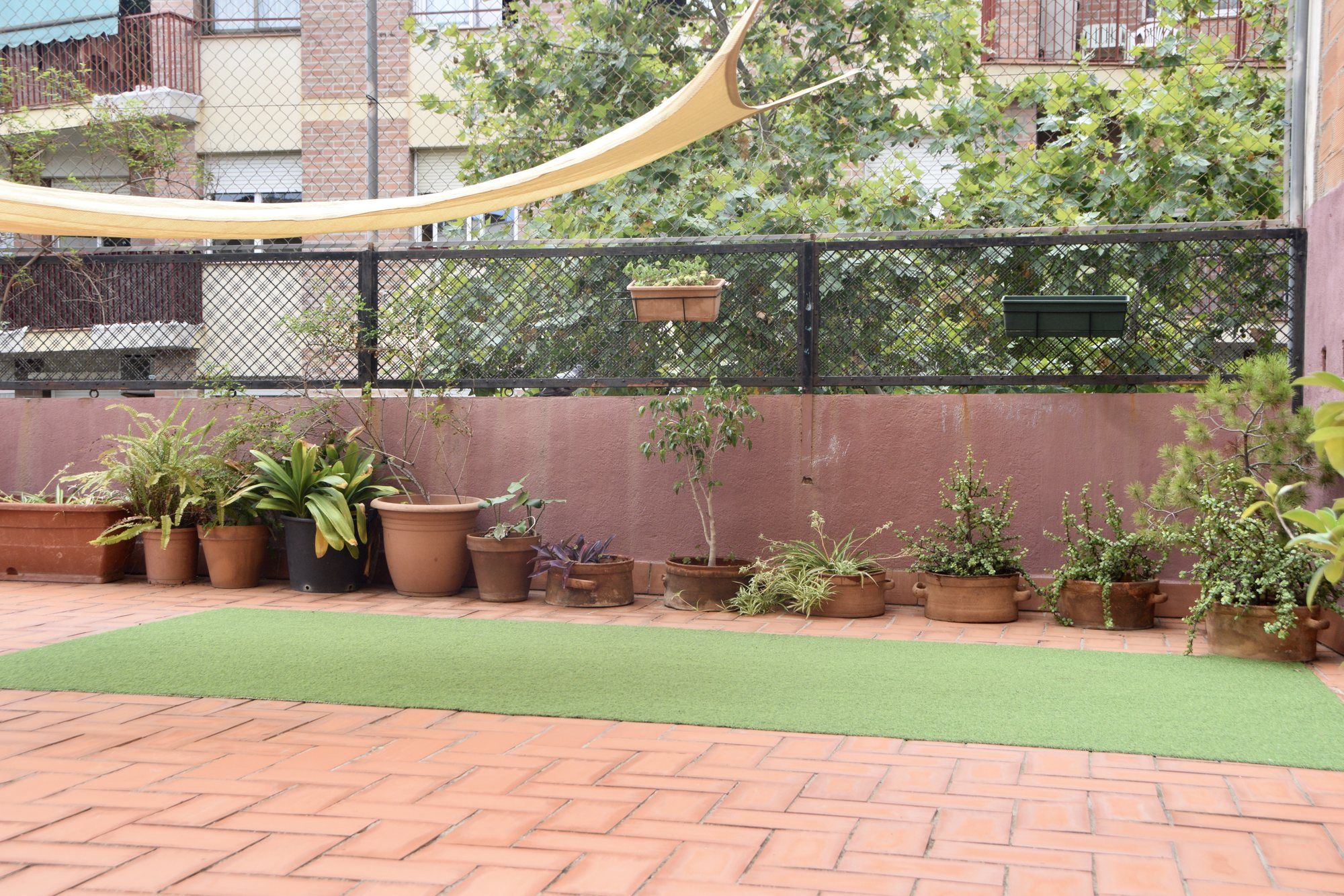 Patio con césped, macetas y la vela de sombra